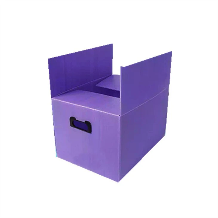 Contenitori per raccoglitori in plastica